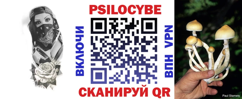Псилоцибиновые грибы Cubensis  Юхнов 
